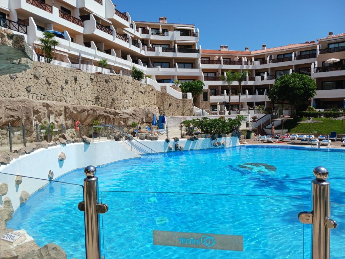 Chillout Studio Albatros In Toller Anlage Mit Pool San Miguel de Abona Eksteriør bilde