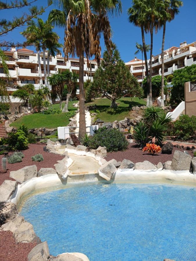 Chillout Studio Albatros In Toller Anlage Mit Pool San Miguel de Abona Eksteriør bilde
