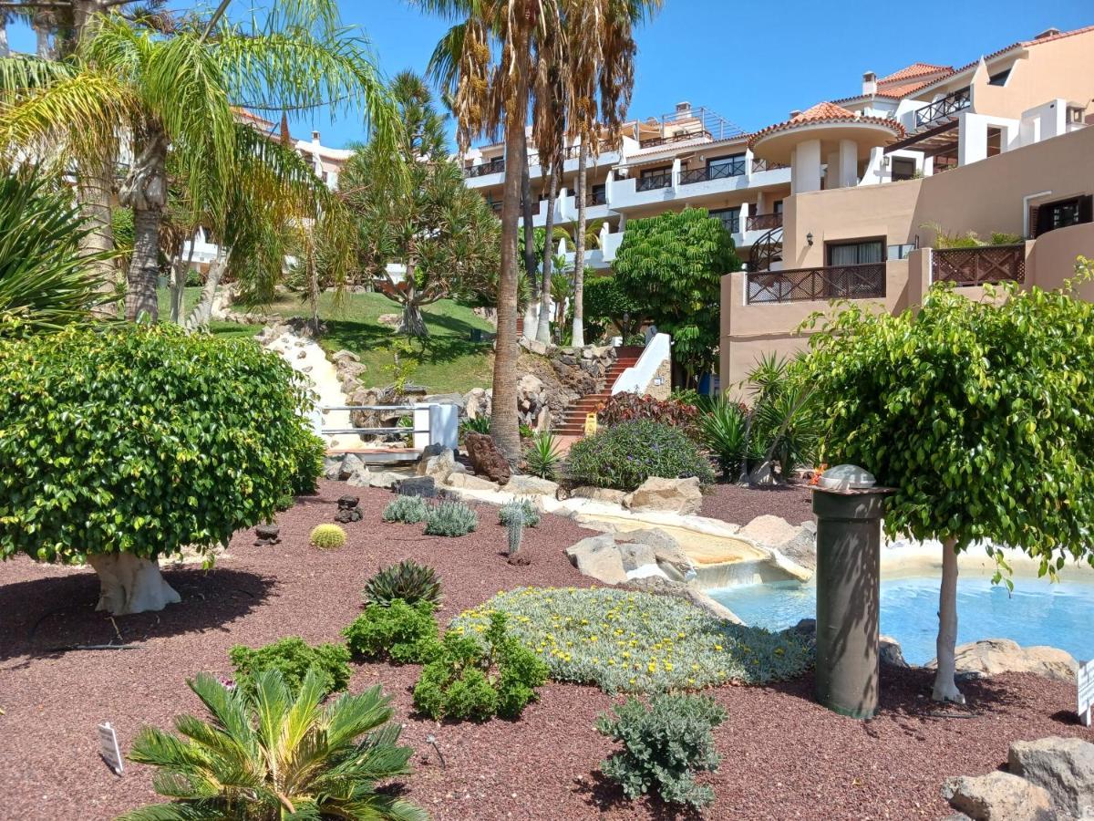 Chillout Studio Albatros In Toller Anlage Mit Pool San Miguel de Abona Eksteriør bilde